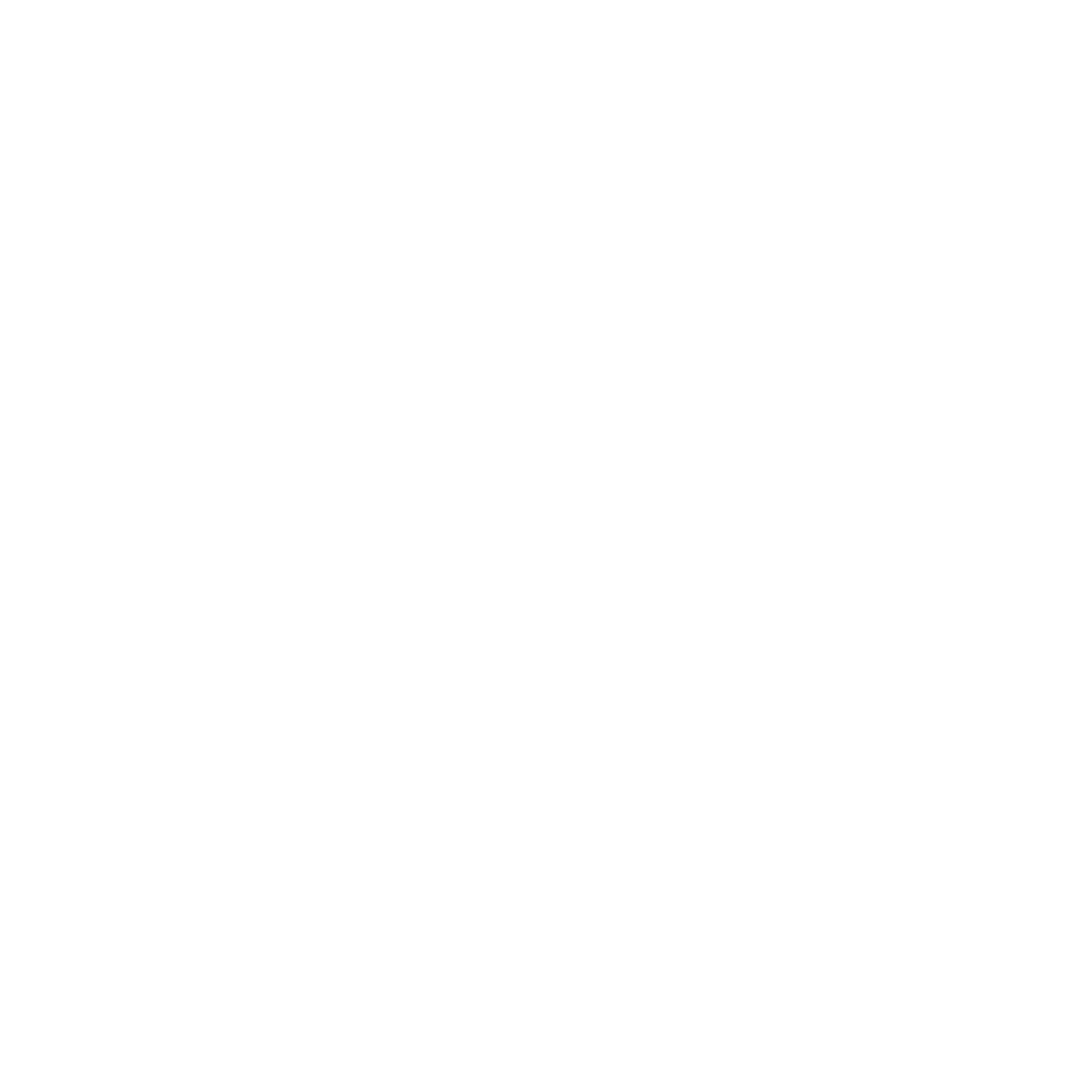 AAP GROUP